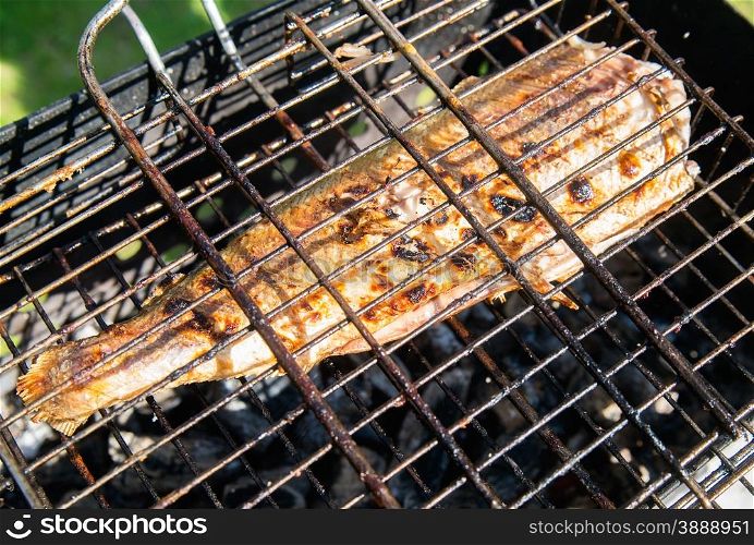 Grilled fish on the barbecue grill, selective focus, top view