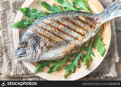 Grilled gilt-head bream with fresh arugula on the plate