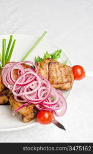 Grilled kebab meat with onion and tomato on a white plate