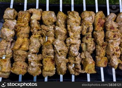 Grilled marinated caucasus barbecue meat shashlik