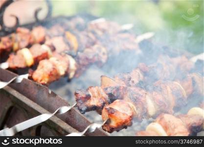 grilled meat cooked on skewer