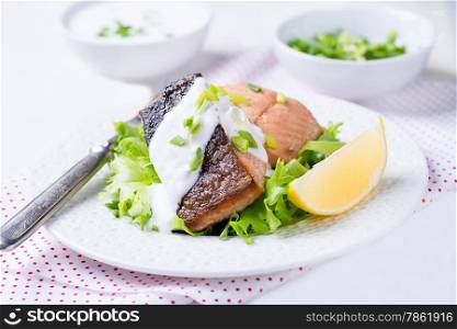 Grilled red fish fillet with green salad and yogurt sauce, selective focus