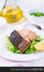 Grilled red fish fillet with green salad, selective focus