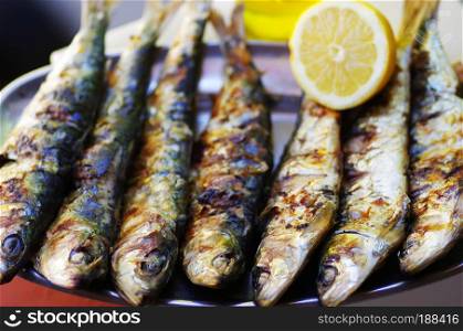 Grilled sardine fish served with lemon and oliveoil
