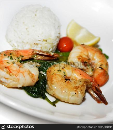 Grilled Shrimps With Rice,Close Up