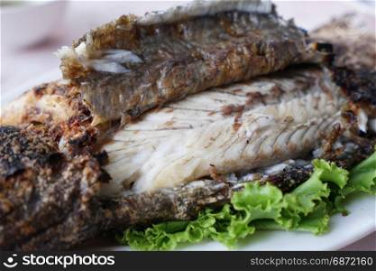 grilled snapper fish with salt