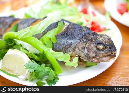 Grilled trout on white dish with vegetables and lemon