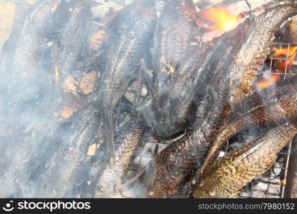 Grilling fish on barbecue