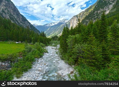 Grimsel Pass summer landscape with river and fir forest (Switzerland, Bernese Alps).