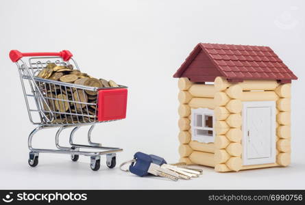 Grocery cart filled with coins, a keychain and a house for children