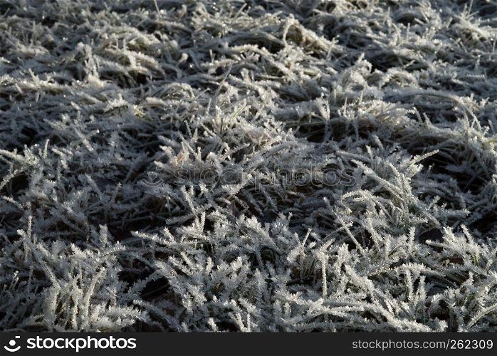 Ground covered in sparkling hoar frost wintertime and crisp, frosted grass with icy snow crystals in the garden a cold, quiet winter morning at sunrise - Concept of seasonal freezing temperature and weather.. Ground covered in sparkling hoar frost wintertime and crisp, frosted grass with icy snow crystals in the garden a cold, quiet winter morning at sunrise - Concept of seasonal freezing temperature and weather