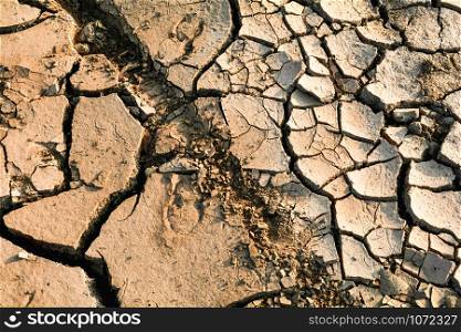 Ground crack background / soil texture and season dry mud arid land