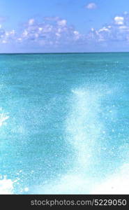 ground in mexico froath and blue foam the sea drop sunny day