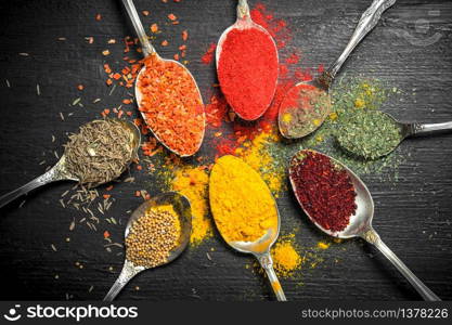 Ground spices and herbs in spoons. On the black chalkboard.. Ground spices and herbs in spoons.