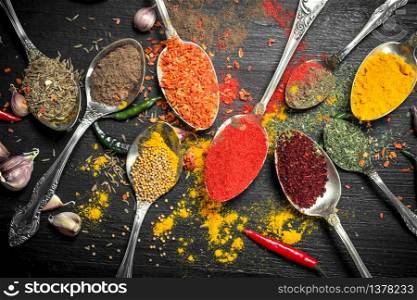 Ground spices and herbs in spoons. On the black chalkboard.. Ground spices and herbs in spoons.