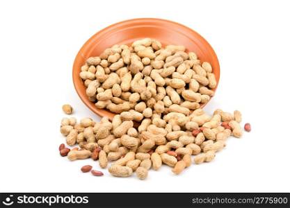 groundnut in plate isolated on white background