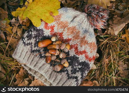 Group acorns lay on a beautiful background
