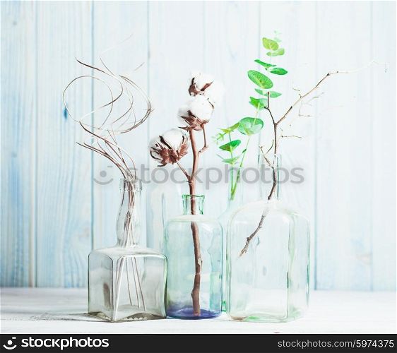 Group decorative branches in glass bottles on wooden background. Composition with decorative branches