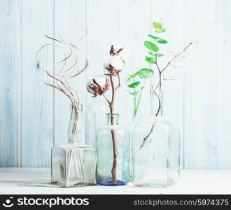 Group decorative branches in glass bottles on wooden background. Composition with decorative branches