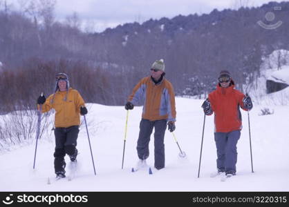 Group Going Skiing