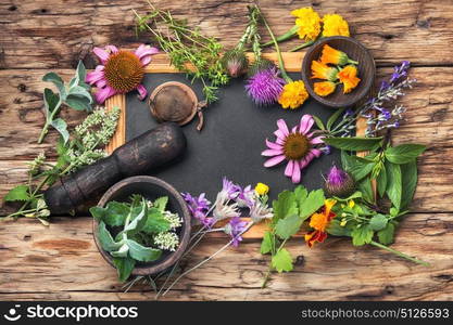 Group healthy herbs. healing herbs, plants and inflorescences on vintage wooden background. Copy space