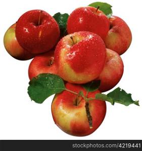 Group of apples cut out with clipping path