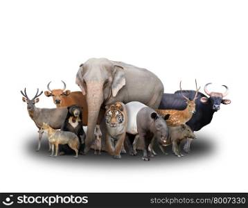 group of asia animals on white background