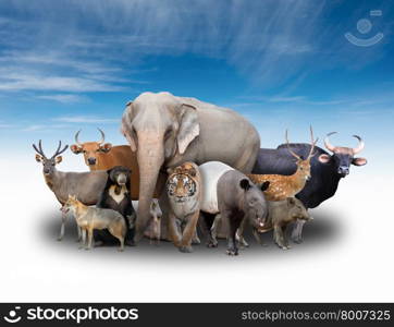 group of asia animals with blue sky