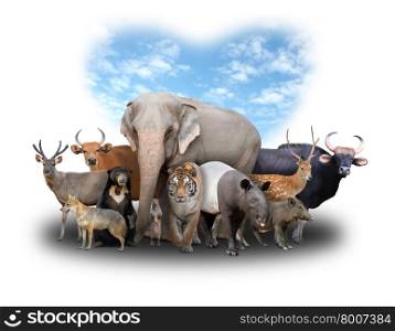 group of asia animals with heart shape blue sky on white background