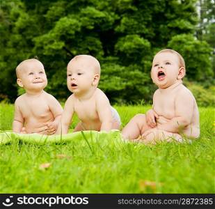 Group of babies outdoors.