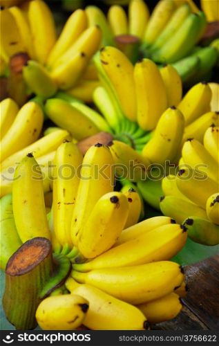 Group of Banana