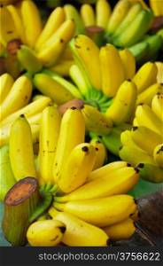 Group of Banana