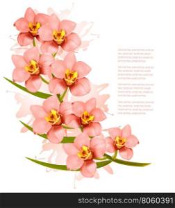 Group of beautiful pink orchid flowers. Vector.