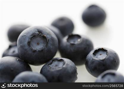 Group of blueberries on white background.