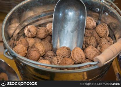 Group of Brown Walnuts With Peel in Silver Bucket with Shovel
