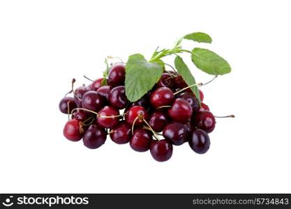 group of cherries isolated on white background