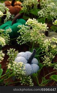 Group of colorful pumpkins in garden, grass land with tiny flowers in white, handmade products for leisure activities by knit from yarn