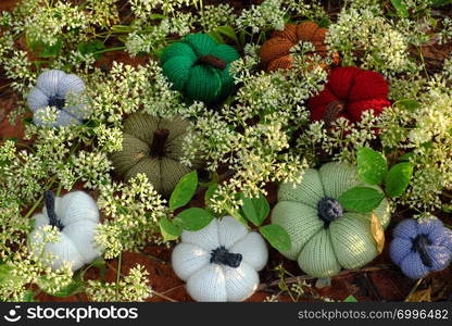 Group of colorful pumpkins in garden, grass land with tiny flowers in white, handmade products for leisure activities by knit from yarn