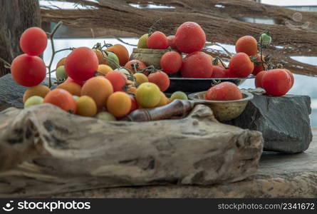 Group of Colorful variety of Fresh wild tomatoes (Mini Cherry Tomatos) on old wooden board background. Selective focus.