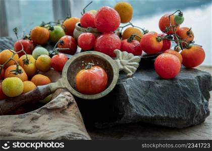 Group of Colorful variety of Fresh wild tomatoes (Mini Cherry Tomatos) on old wooden board background. Selective focus.