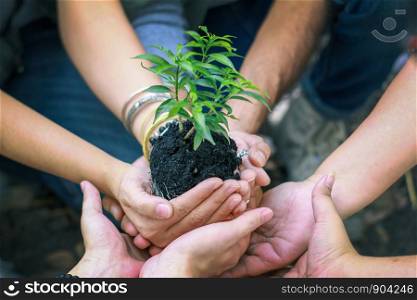 Group of Diverse People Planting Tree Together,Cupping plant nature Environmental.