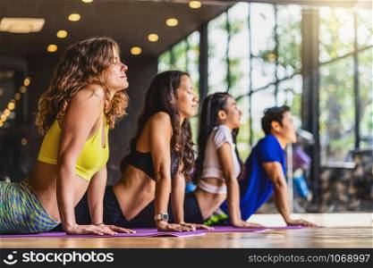 Group of diversity practicing yoga class, healthy or Meditation Exercise,stretching in upward facing dog exercise, wearing sportswear bra and pants, sports and healthcare concept,