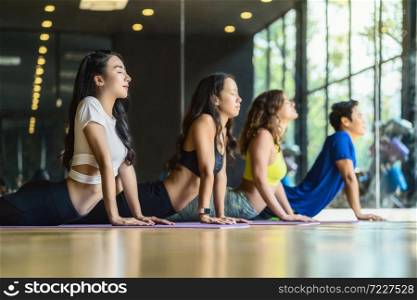 Group of diversity practicing yoga class, healthy or Meditation Exercise,stretching in upward facing dog exercise, wearing sportswear bra and pants, sports and healthcare concept