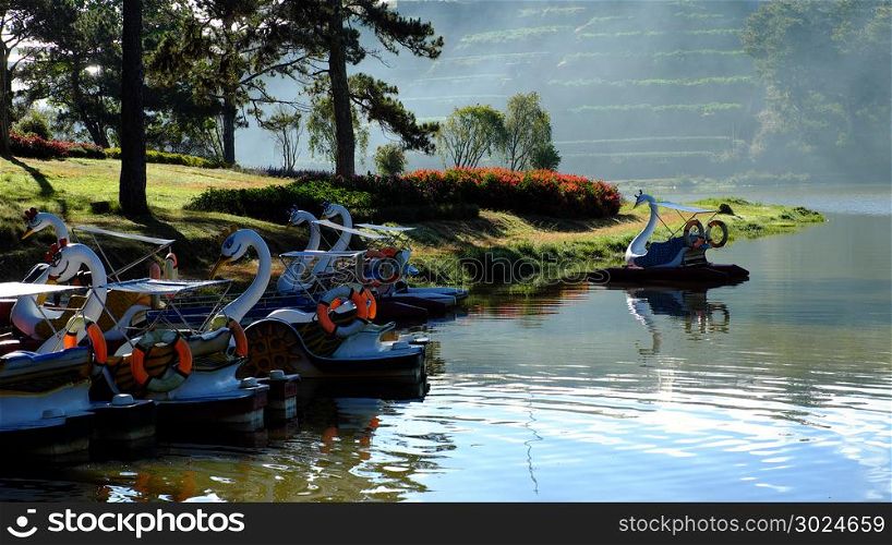 Group of duck boat, vehicle transport and relax on water for tourism, reflect on surface water at Than Tho lake, one of destination for travel at Da Lat city, Viet Nam, lake among pine forest