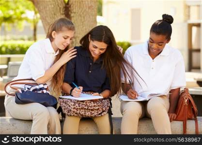 Group Of Female High School Students Working Outdoors