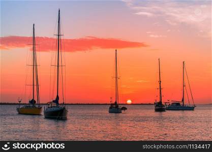 Group of five sailboats together on sea at setting sun