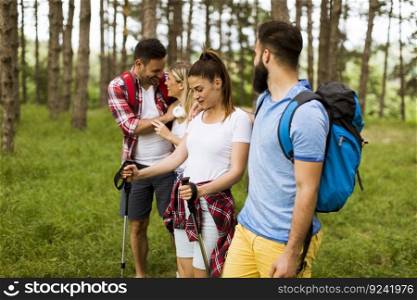 Group of four friends hiking together through a forest at sunny day