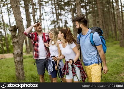 Group of four friends hiking together through a forest at sunny day