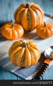 Group of four pumpkins with a scoop on blue background. Four pumpkins and a scoop