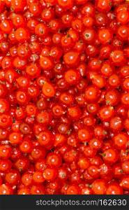 Group of fresh ripe red currant, close up background.